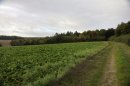 Le long du Bois de Traînel secteur 9